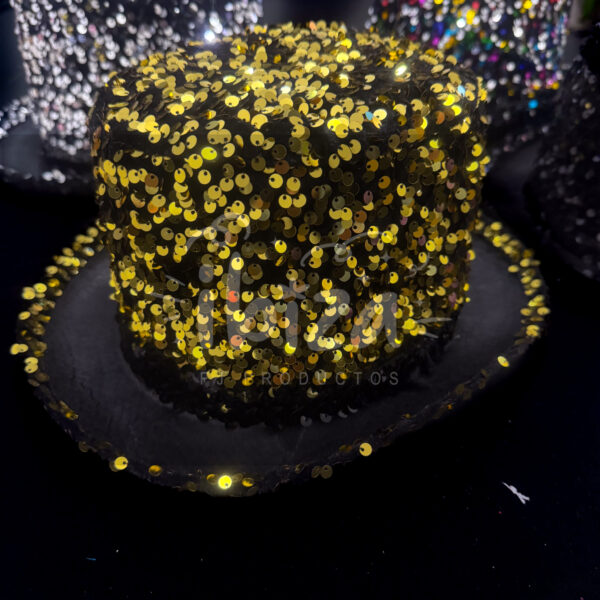 Sombrero Con Lentejuelas - Performer - Image 3