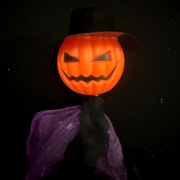 Muñeco Colgante - Calabaza Espanta Pajaros - Image 3